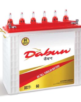 Dabun Battery 200 Ah with 60 Months Warranty – C10