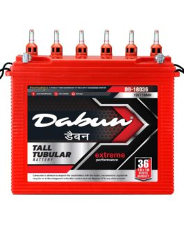 Dabun Battery 150 Ah with 60 Months Warranty C10