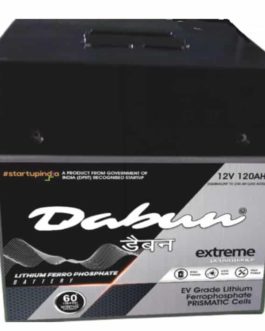 Dabun Lithium Ferrophosphate Battery 96V 100AH (Total Energy  10240 Watt)
